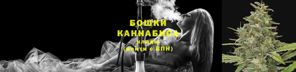 PSILOCYBIN Богородицк