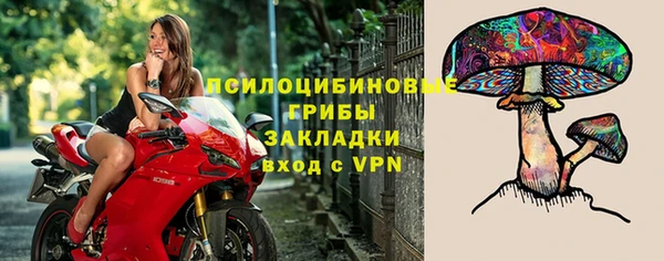 Альфа ПВП Богородск