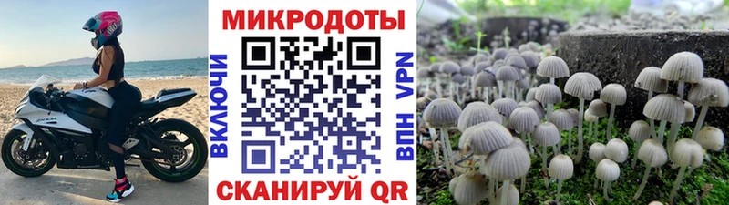 кракен зеркало  Котово  Галлюциногенные грибы Cubensis 